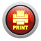 Printer-friendly Version